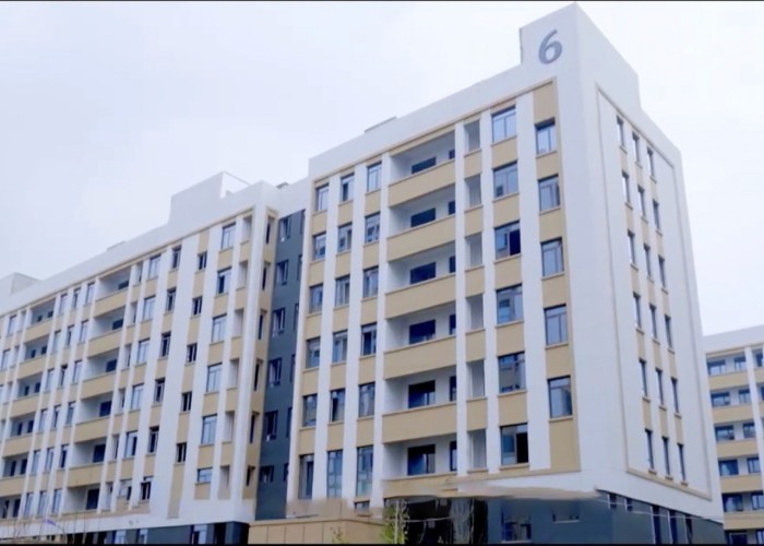 Qingdao Meilianjia International Trade Co., Ltd linha de produção da fábrica