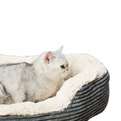 Cachorro e Cachorro Cama com Cabelo Ultra Lavavel Espessado Colareta Mochila Pad Fleece Dormir de Animais de Criança