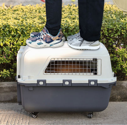 Saco portátil de animais de estimação de grande capacidade Caixa de gatos para produtos de viagem