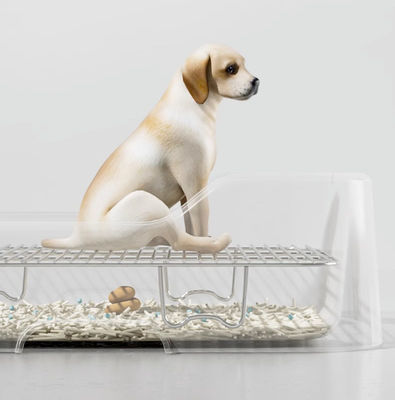 Conveniente interior do cão Potty Tray Sem vazamento derramamento Parede de proteção e fácil design limpo