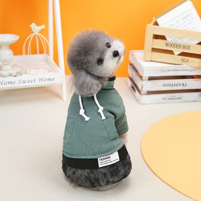 Preparem os vossos animais para a estação fria com as nossas roupas de inverno mais grossas