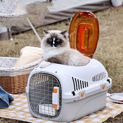 Acessórios para viagens de carro Caixas aprovadas para transporte de animais de estimação para filhotes e gatos de pequeno ou médio porte
