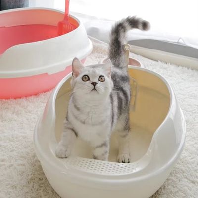 Caixa de lixo para gatos de plástico de PP de lado alto