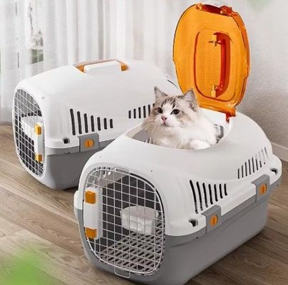 Acessórios para viagens de carro para transporte sustentável de gatos