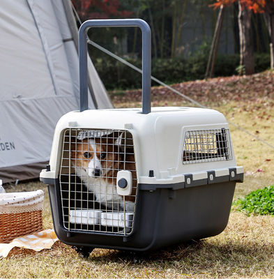 Caixa de transporte aéreo de animais de estimação para cães e gatos pequenos Transportador de viagem de superfície dura sustentável