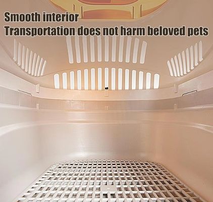 Saco de viagem de animais de estimação de papelão de plástico para gatos, caixa de transporte aéreo de superfície dura para cães e gatos pequenos