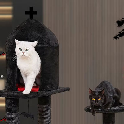 Atividades de gatos de vários níveis Móveis de luxo Siasl Árvore de gato com bola de aranha pendurada