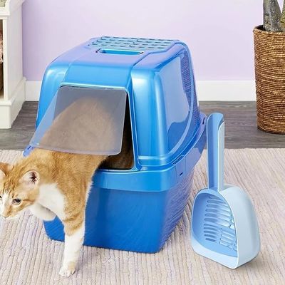 Limpeza de lixo de gato Azul fácil de escova de pá Acessórios simples de peneira de escova