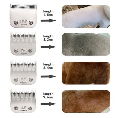 Barbeador de cabelo para animais de estimação de aço titânio 5a Blade para o cuidado profissional de vários animais