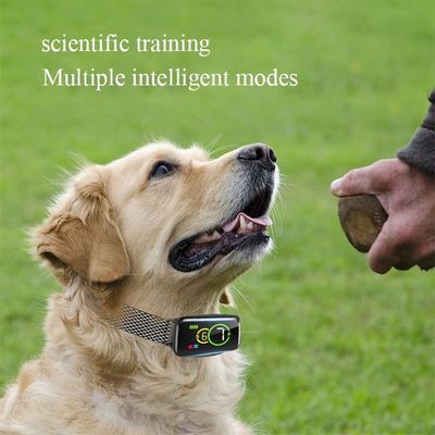 Cães pequenos, grandes e médios, colarinho de latido com modo de treino remoto 4 modos de trabalho