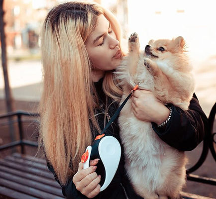 Leia automática de nylon para animais de estimação com comprimento ajustável