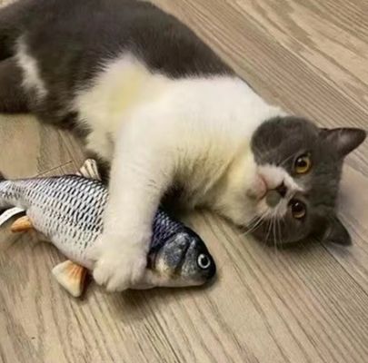 Brinquedo de gato em forma de peixe de carpa 3D criativo movido a energia seguro e popular para presentes de animais de estimação