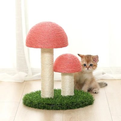 Brinquedos interativos para treinamento de gatinhos