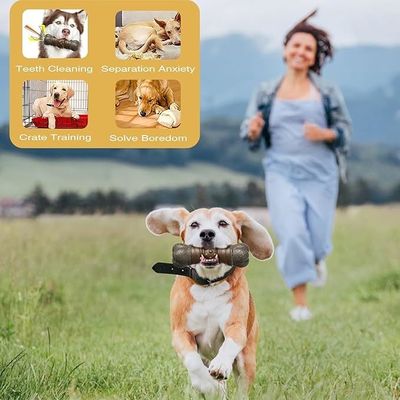 Sustentável Estilo de moda Cão Grito Brinquedo Bastão Ossos para Dentes Limpeza de Dentes Brinquedos de mascar