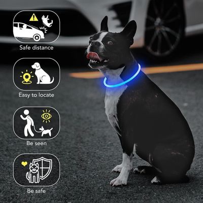 Colar de cachorro LED com logotipo personalizado USB recarregável à prova d'água 3 modos de piscar