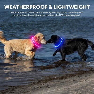 Colar de cachorro LED com logotipo personalizado USB recarregável à prova d'água 3 modos de piscar