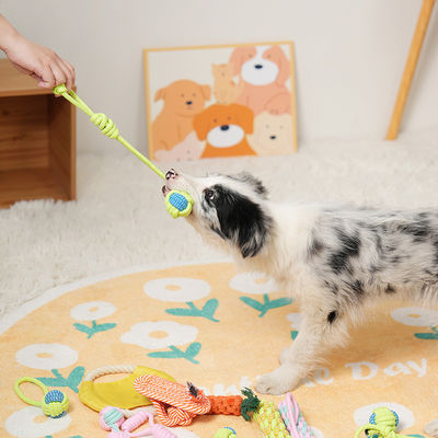 Set de brinquedos de corda de mastigação de cachorro de algodão perfeito para jogos interativos e exercícios