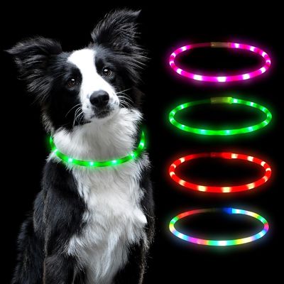 Banda de colarinho USB recarregável iluminada para cães com colarinho de animais de estimação de cor variável