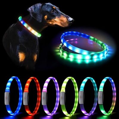 Banda de colarinho USB recarregável iluminada para cães com colarinho de animais de estimação de cor variável