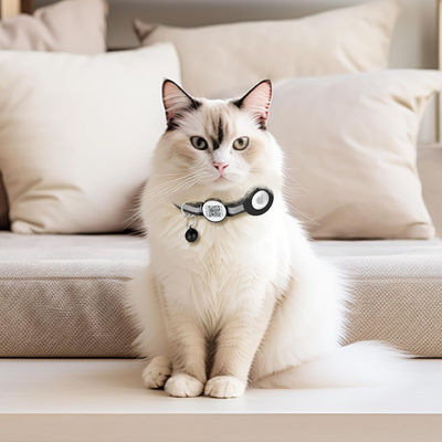 Acessórios personalizados para animais de estimação Função Impressão personalizada Nylon Smart QR Code Pet Tag Collar