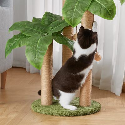 Quadro de escalada de palmeira de coco de gato com pau de arranhão natural Sisal e bolas penduradas