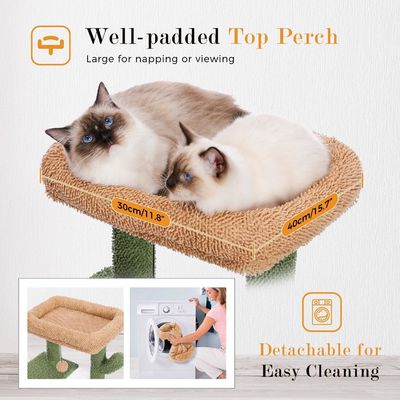 Cachorro Sisal Moderno de Madeira Cachorro Cacto Árvore de Gato com Hamaca e Pão de Raspagem