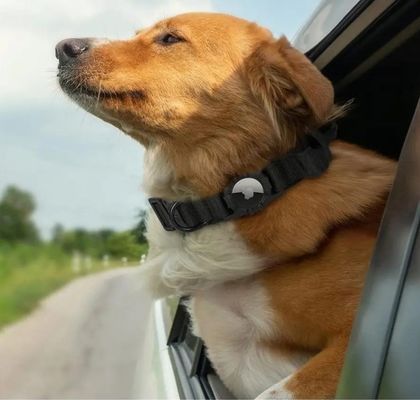 Colarinho para cães Eco-friendly Nylon Colarinho ajustável para animais de estimação com Air Tag GPS Tracker Dog Leads