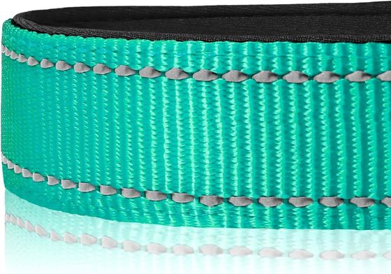 Colarinho de cão com almofada de neoprene macio com reflector à prova d'água C-01