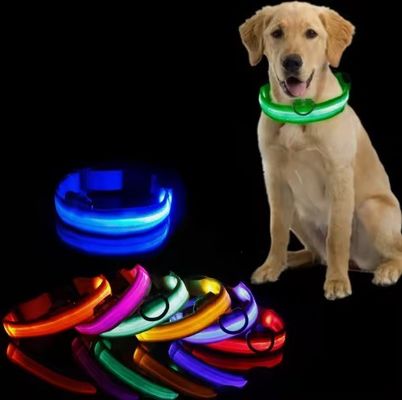 Adjustavel impermeável Flashing Light Up Collar de cão para caminhadas noturnas personalizado