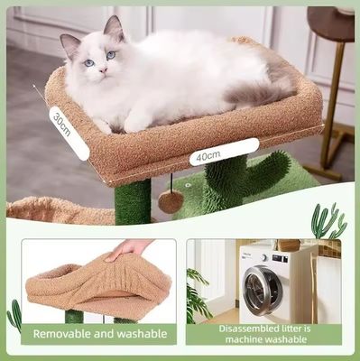 Gato raspando casa brinquedo pequeno gato verde árvore cacto gatinho raspador para gatos de interior