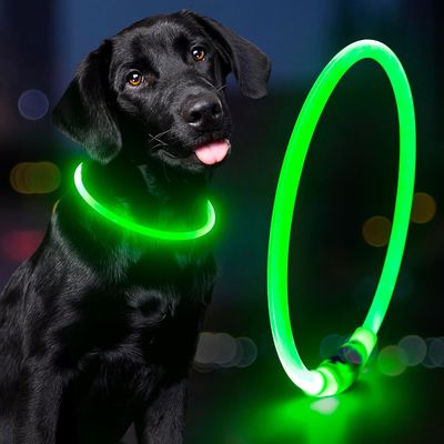 Colarinho de cão à prova d'água recarregável USB para caminhada e treino noturno Padrão sólido