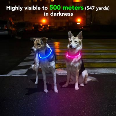 Colarinho de cão à prova d'água recarregável USB para caminhada e treino noturno Padrão sólido