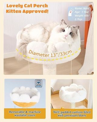 Torre de gato de nuvem branca para gatos e animais pequenos