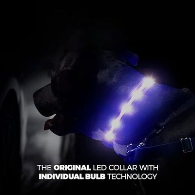 Serviço de personalização fornecido Collar de cão de silicone LED USB à prova d'água recarregável