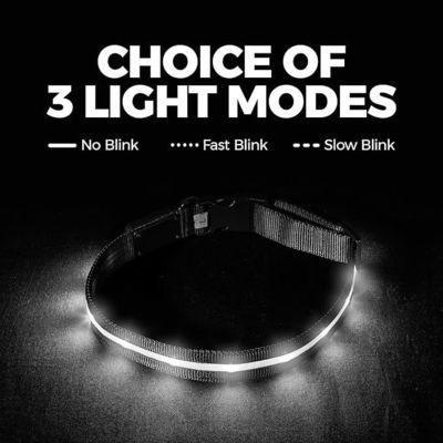Serviço de personalização fornecido Collar de cão de silicone LED USB à prova d'água recarregável