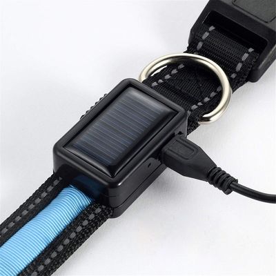 Collar de cão com LED para cães ativos