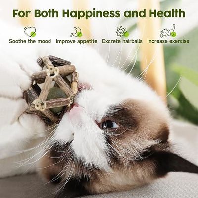Bastões de vinho de prata naturais sustentáveis brinquedo interativo para mastigar gatos para diversão e limpeza de dentes