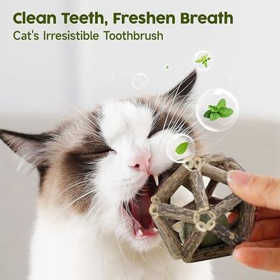 Bastões de vinho de prata naturais sustentáveis brinquedo interativo para mastigar gatos para diversão e limpeza de dentes