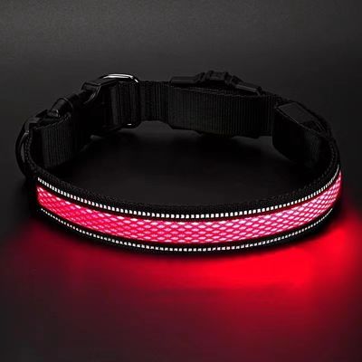 Collar de cão com LED para cães ativos