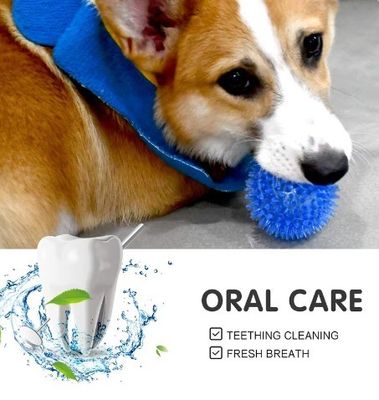 Logotipo personalizado aceitável Best seller TPR Squeaky Spike Ball Dog Toy para cães e animais de estimação