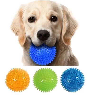 Logotipo personalizado aceitável Best seller TPR Squeaky Spike Ball Dog Toy para cães e animais de estimação