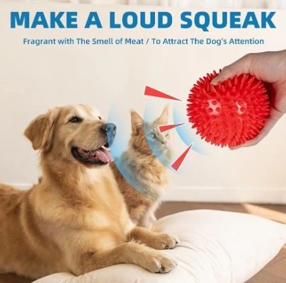 Brinquedos para cães não tóxicos e ecológicos TPR cães de mastigação Bolas de brinquedo para limpeza de dentes