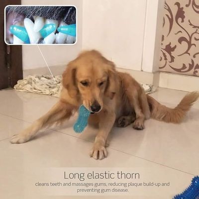 Brinquedo de ossos de cão TPR Brinquedo de mastigar durável para mastigadores agressivos Limpeza e treino dentário