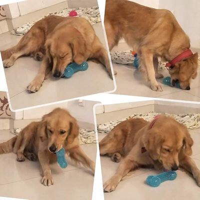 Brinquedo de estimação personalizável TPR em forma de osso para mastigadores agressivos Não tóxico e durável