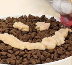 55% Conteúdo de carne Alimento húmido para gatos Todos os estágios da vida Salmão Gato Doces Bastão Alimento em saco