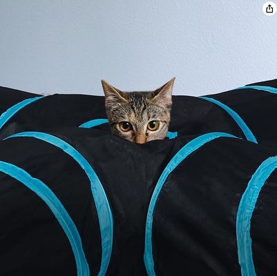 Serviço de personalização fornecido 4 Way Cat Tunnel Bed Pop-up Collapsible Pet Tube Toy
