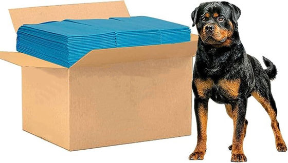 56*56cm Pequenos Animais Pad de Treinamento de Animais de estimação com Fraldas de Toalha descartáveis à prova de vazamento
