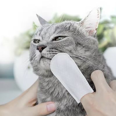 Limpeza oral de animais de estimação conveniente e eficaz com toalhas úmidas de manga de dedo com fragrância natural