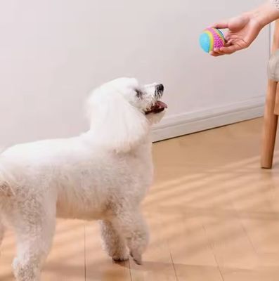 Não tóxico Amigável ao ambiente Bolas de cão barulhentas interativas duráveis brinquedo de mastigação