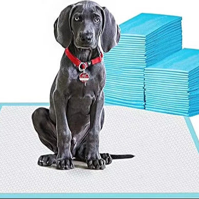 Estilo saudável Fraldas impermeáveis para filhotes de cachorro para animais pequenos